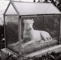 Wingate Monument, "Their Favorite"