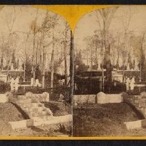 Tower from Arethusa Path