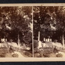 Rockey, Forest Hills Cemetery