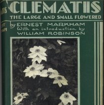 Clematis, The Large and Small Flowered