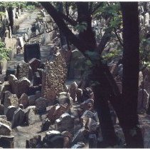 The Old Jewish Cemetery, Prague