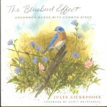 The Bluebird Effect