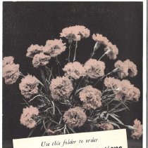 Memorial Day Decorations 1954