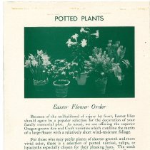 Easter Flowers 1955  page 2