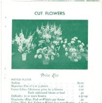 Easter Flowers 1956  page 3