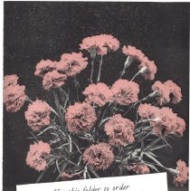 Memorial Day Decorations 1956