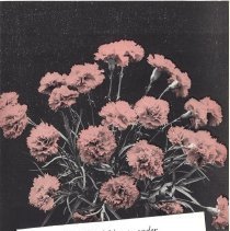 Memorial Day Decorations 1957