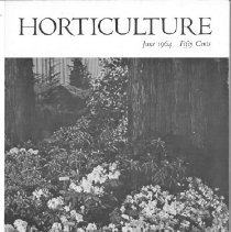 Trees of Mount Auburn