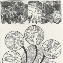 Mount Auburn Tree Trvia