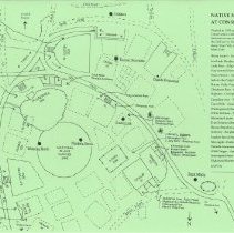 Native New England Plants at Consecration Dell Mount Auburn Cemetery