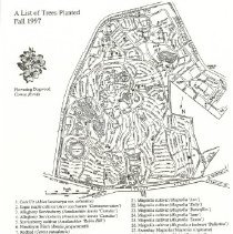 A List of Trees Planted Fall 1997