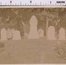 Lot 1290, Pine Avenue