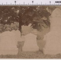 Lot 1290, Pine Avenue