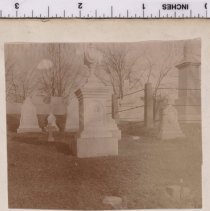 Lot 1294, Gentian Path