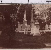 Lot 1326, Eglantine Path