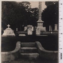 Lot 1357, Peony Path