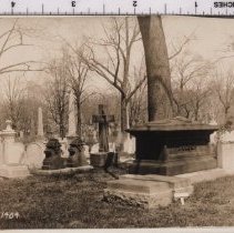 Lot 1404, Snowdrop Path