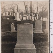 Lot 1415, Cypress Avenue