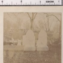 Lot 1490, Snowdrop Path