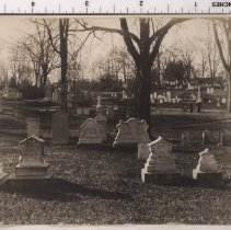 Lot 1569, Eglantine Path