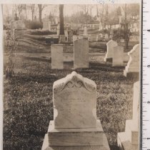 Lot 1569, Eglantine Path