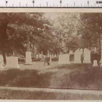 Lot 1572, Cypress Avenue