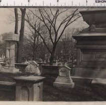 Lots 1581, 1582, and 1583, Verbena Path