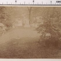 Lot 1617, Verbena Path