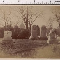 Lot 1630, Verbena Path