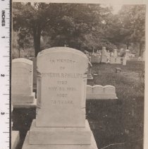 Lot 1646, Petunia Path