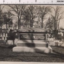 Lot 1663, Columbine Path