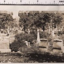 Lot 1715, Verbena Path