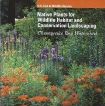 Native Plants for Wildlife Habitat