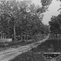 View down Brown Street