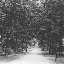 View Down Grove Avenue