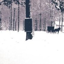 Wshington Grove - B&O Bridge 1918