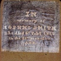 photographed on 8-13-2007