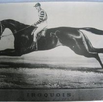 Iroquois
