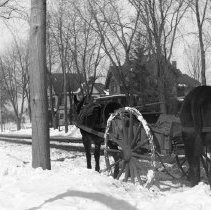 Horses and equipment in snow