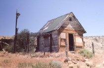 Pointsetta Wood Structures