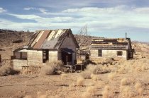 Pointsetta Wood Structures