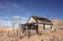 Pointsetta Wood Structures