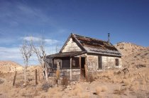 Pointsetta Wood Structures
