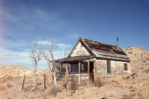 Pointsetta Wood Structures
