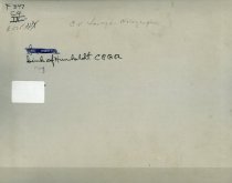 Panoramic view of the Humboldt Sink