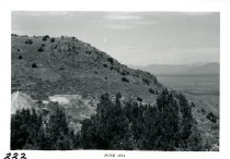 Per-00222_hl-00068-g-00018