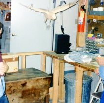 Birds of Vermont Museum