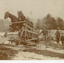 Cutting Wood on Shaw Mansion Road
