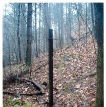 Mount Mansfield Electric Railroad
