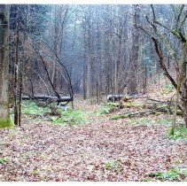 Mount Mansfield Electric Railroad